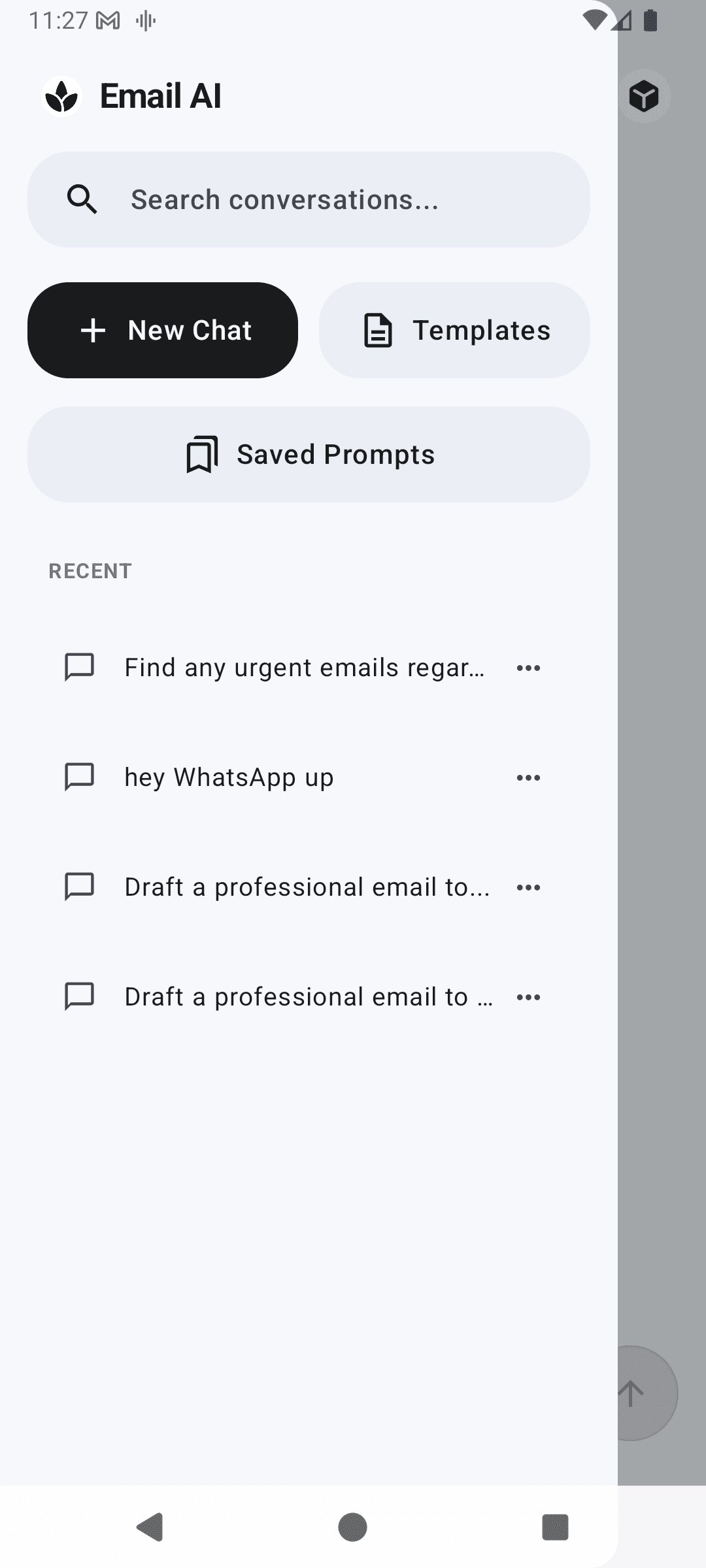 Email screenshot 2